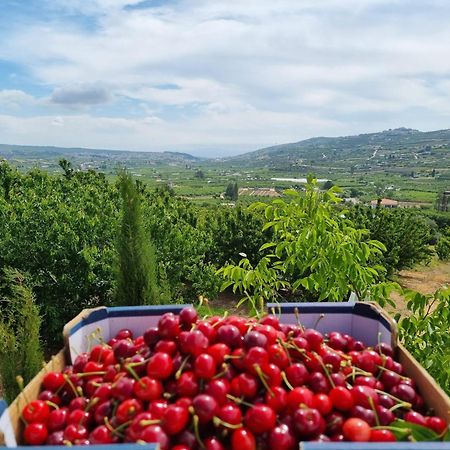 Oriental Nature Majdal Shams Bagian luar foto