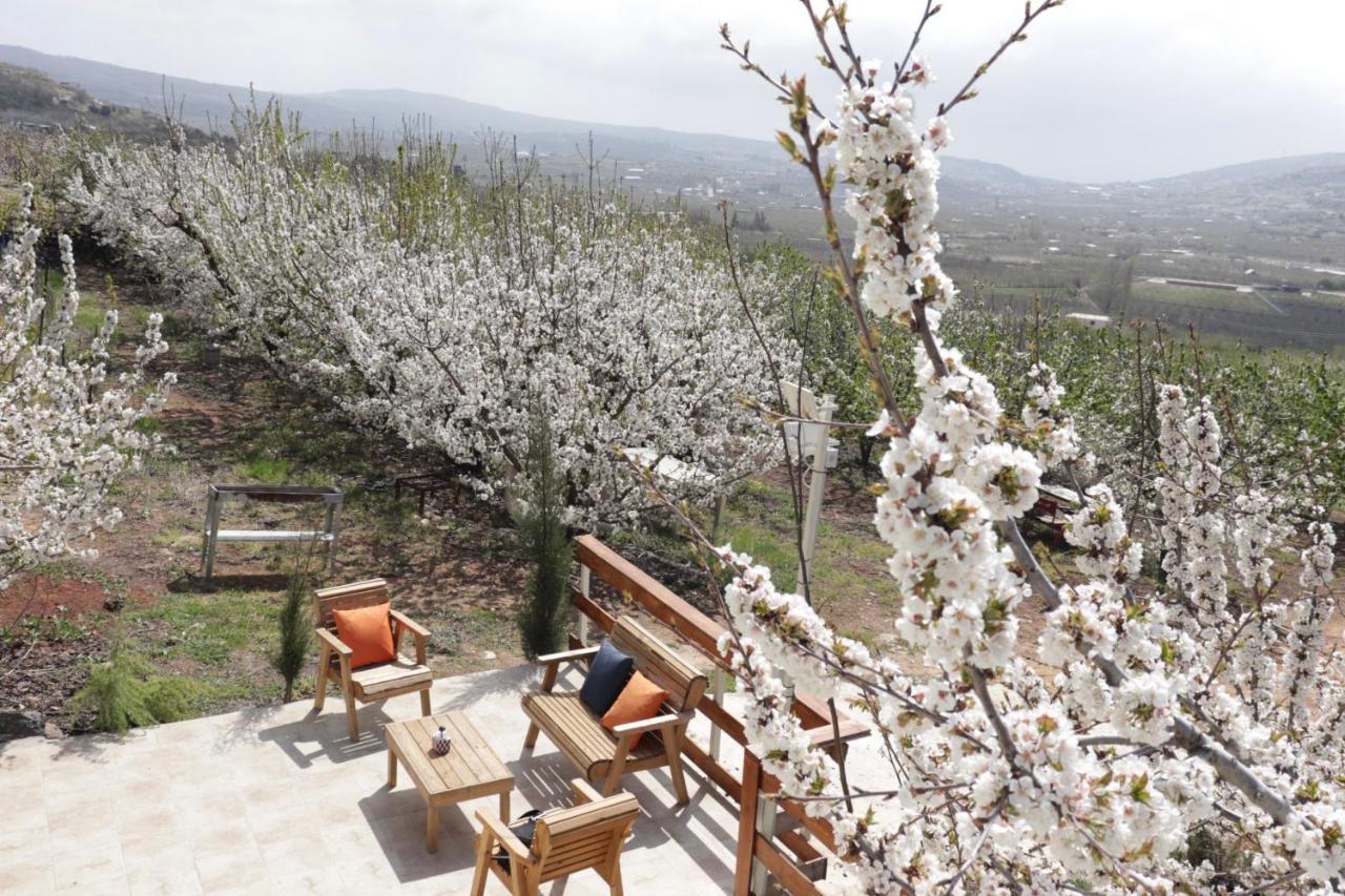 Oriental Nature Majdal Shams Bagian luar foto