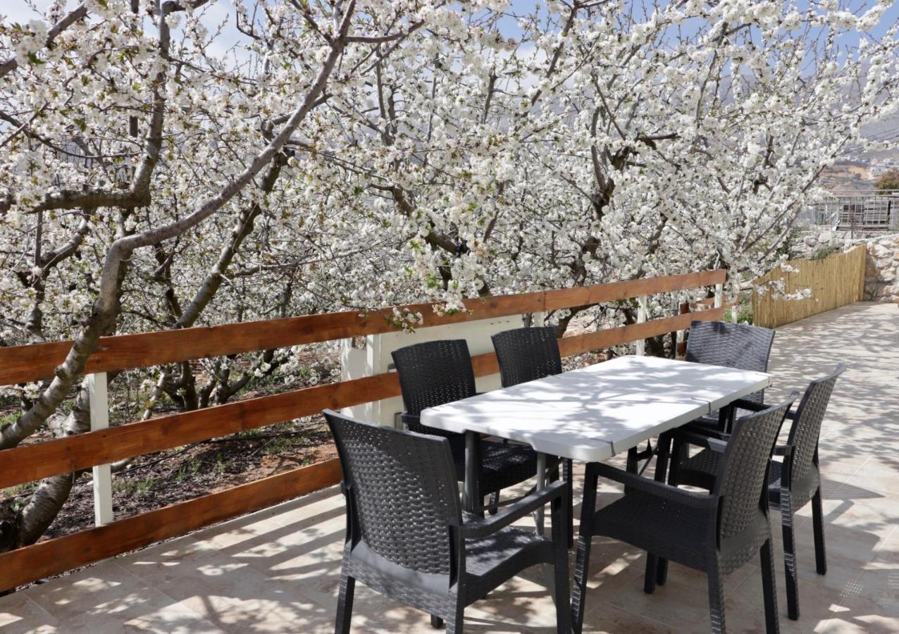 Oriental Nature Majdal Shams Bagian luar foto