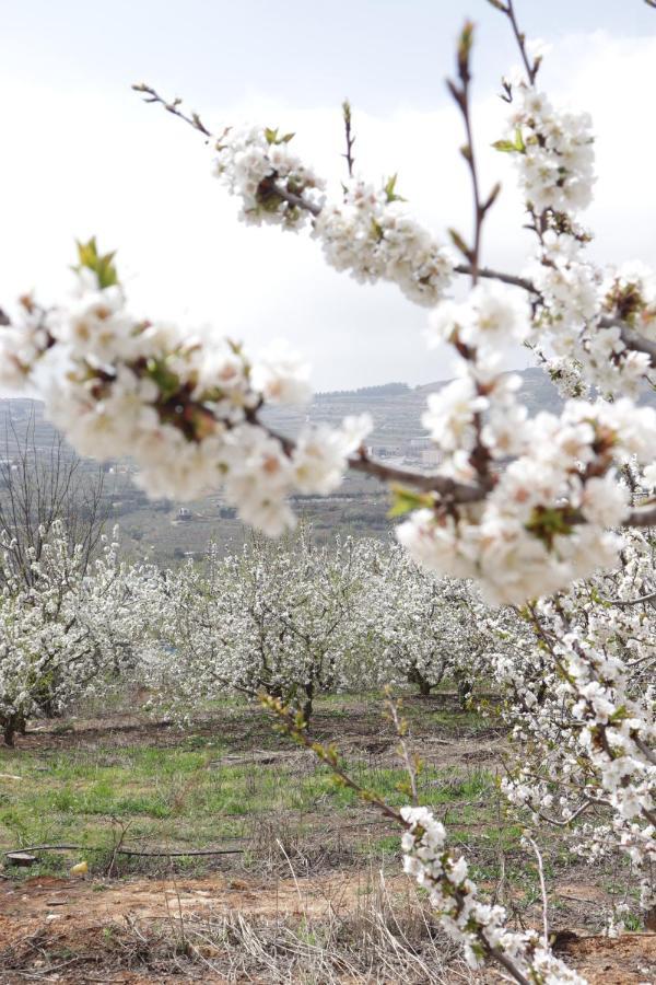 Oriental Nature Majdal Shams Bagian luar foto