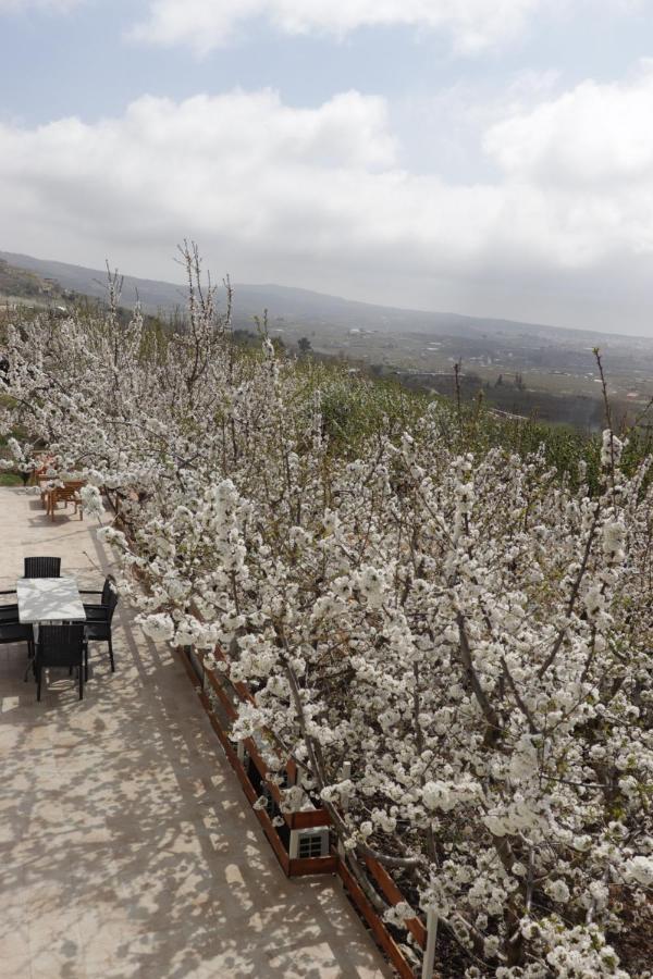 Oriental Nature Majdal Shams Bagian luar foto