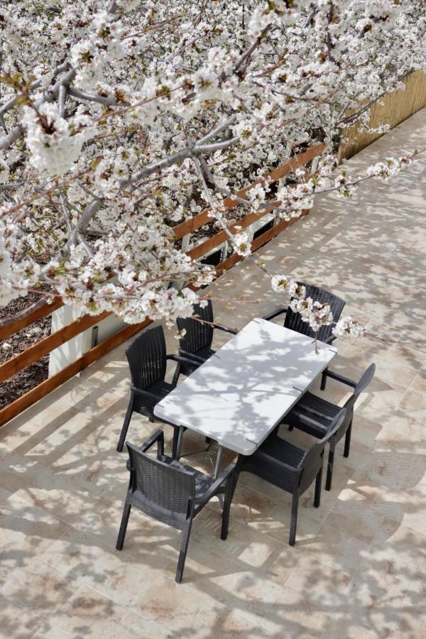 Oriental Nature Majdal Shams Bagian luar foto